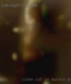 Clean cut in Aurora, professional nude girls type.